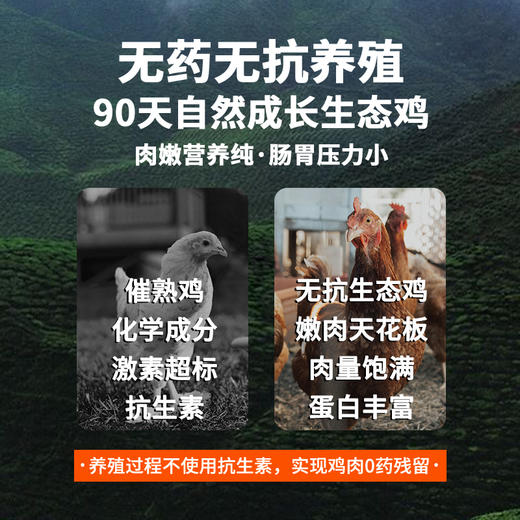 优朗肠胃亲和益生菌鲜肉烘焙冻干猫粮 商品图10