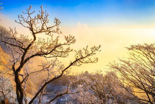 1月22日确定出发【颂•雪 黄山】冬日黄山•雾凇•云海•日出摄影4天采风 商品图11