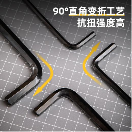 得力DL232209H发黑加长球头内六角组套(黑) 商品图1