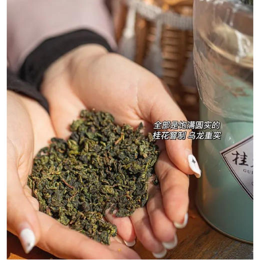 【每日食养】强韵桂花乌龙茶浓香型茶叶360g罐装 商品图4