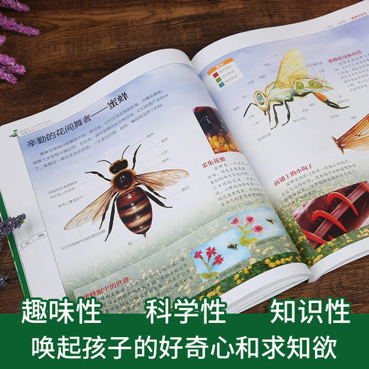 (仓发) 昆虫王国（写给孩子们的百科全书） 中小学课外大百科，少儿科普，高清全彩，手绘+实拍，全细节/中国水利水电出版社/贝贝狗童书馆/9787517064435 商品图2