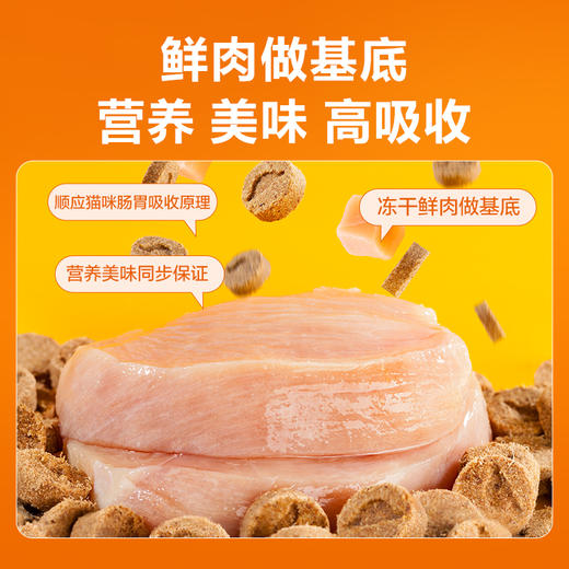 麦富迪小橙帽冻干复合维生素片猫咪维生素补充微量元素营养品40g 商品图2