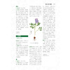 (仓发) 本草纲目：真品插图典藏版/健康爱家系列/江苏凤凰科学技术出版社/[明]李时珍/9787571307080 商品缩略图3