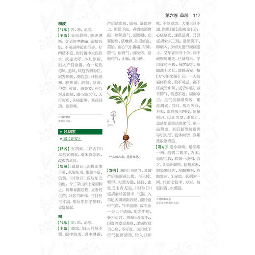 (仓发) 本草纲目：真品插图典藏版/健康爱家系列/江苏凤凰科学技术出版社/[明]李时珍/9787571307080 商品图3