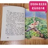 (仓发) 故乡：鲁迅小说杂文精选（成长读书课：名师导读美绘版）/中国致公出版社/鲁迅/9787514514209 商品缩略图5