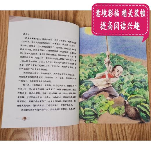 (仓发) 故乡：鲁迅小说杂文精选（成长读书课：名师导读美绘版）/中国致公出版社/鲁迅/9787514514209 商品图5