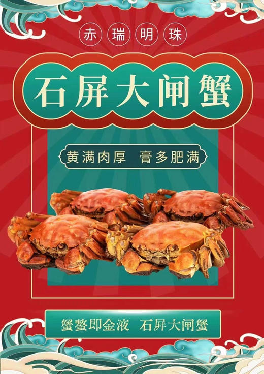 赤瑞明珠～石屏状元蟹大闸蟹（天赐好水，云南好蟹）专供云南包邮 商品图10