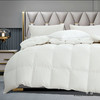 鑫缘 锦绒系列白鹅绒被 EYPN1020 商品缩略图0