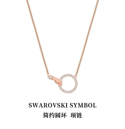 【限时秒杀】百货世界-施华洛世奇-简约圆环项链 商品图0