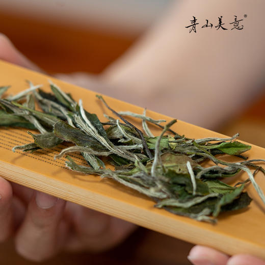 方守龙 2022年特级白牡丹75g太姥山福鼎白茶[官方旗舰店正品直供] 商品图1