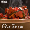 线上到家【鲜活直供】江苏洪泽湖精品大闸蟹（3-4.5两）3对/4对/5对 商品缩略图1