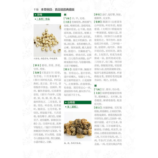 (仓发) 本草纲目：真品插图典藏版/健康爱家系列/江苏凤凰科学技术出版社/[明]李时珍/9787571307080 商品图4