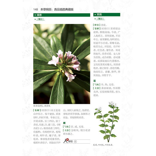 (仓发) 本草纲目：真品插图典藏版/健康爱家系列/江苏凤凰科学技术出版社/[明]李时珍/9787571307080 商品图6