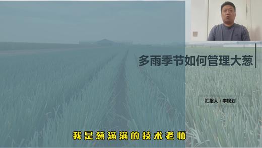 多雨季节如何管理大葱 商品图0