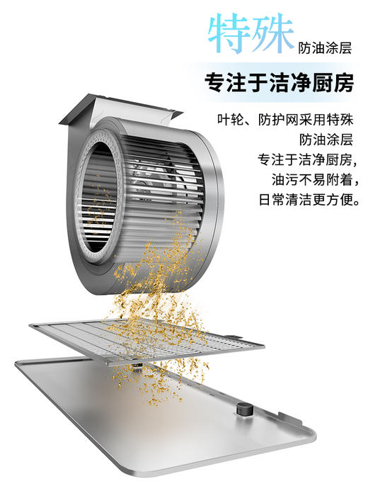 「以旧换新」日本进口富士帝顶吸欧式大吸力自清洁油烟机CXW-256-LN2 商品图1