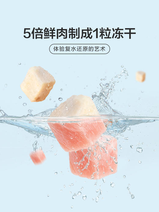 麦富迪猫零食冻*肉粒冻干小鱼干营养冻干桶成幼猫宠物小零食 商品图2