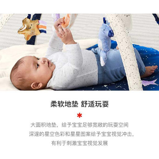 SkipHop宝宝益智游戏垫婴儿爬行垫家用玩具新生儿游戏毯婴儿地垫玩具礼物 商品图1