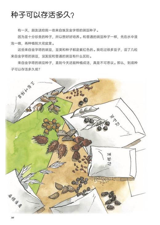 【中国农业出版社】我的自然观察图鉴:桌子上的植物园 9787109284555 自然观察 桌子 植物园 图鉴 观察笔记 自然 课堂笔记 商品图3