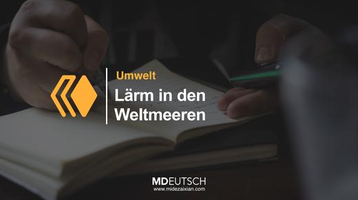 49.【环境】海洋中的噪音（MP3） 商品图0