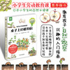 【中国农业出版社】我的自然观察图鉴:桌子上的植物园 9787109284555 自然观察 桌子 植物园 图鉴 观察笔记 自然 课堂笔记 商品缩略图0