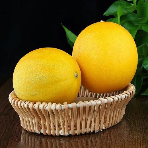 久红瑞哈密瓜（整个出售，多退少补） 商品图0