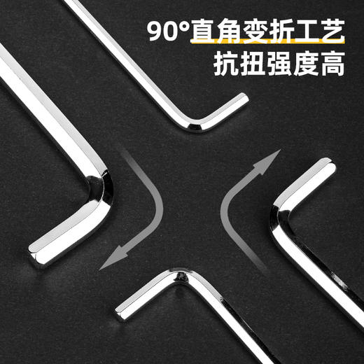 得力DL2174专业级镜面加长球头内六角组套 商品图2