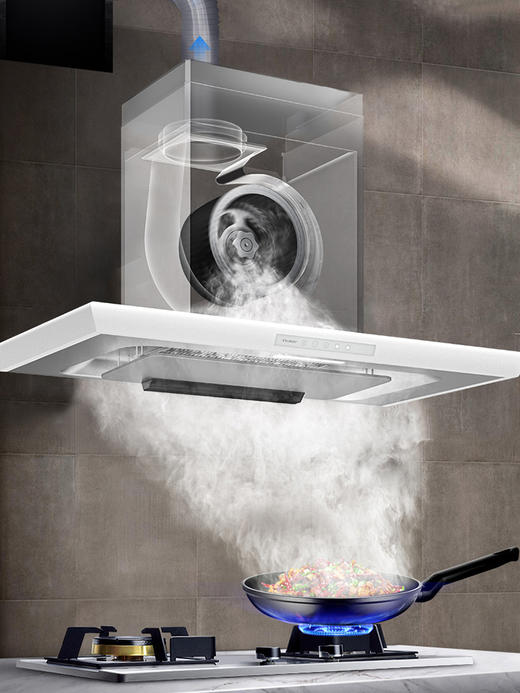 「以旧换新」日本进口富士帝顶吸欧式大吸力自清洁油烟机CXW-256-LN2 商品图2