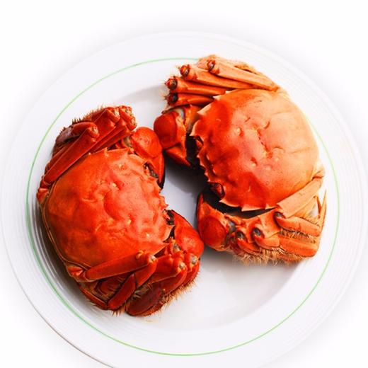 湖锦鲜-大闸蟹998 商品图4