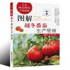 图解越冬番茄生产管理【官方正版】 商品缩略图0