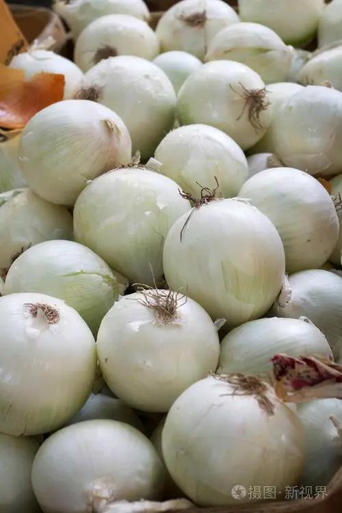 白葱头（整个出售，多退少补）