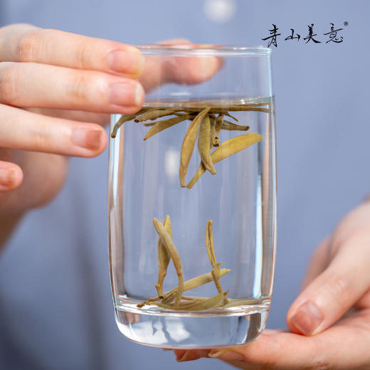 方守龙 2021年白毫银针太姥山核心产区福鼎白茶[官方旗舰店正品直供] 商品图3