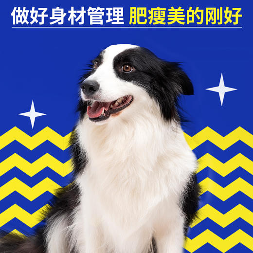 疯狂小狗 边境牧羊犬全价犬粮 牛肉味 10kg 靓毛护肠胃 商品图3