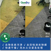 【臻选家政-家具保养】肯洁地毯深度清洁——厦门 商品缩略图3