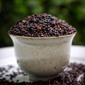 【2025年秋收新米】【谦益】香畴 紫糯米 吃出好气色 500g/袋【多规格】