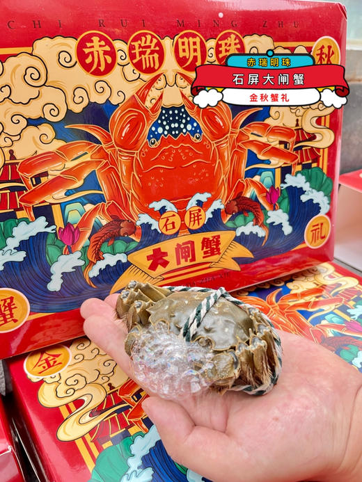 赤瑞明珠～石屏状元蟹大闸蟹（天赐好水，云南好蟹）专供云南包邮 商品图1