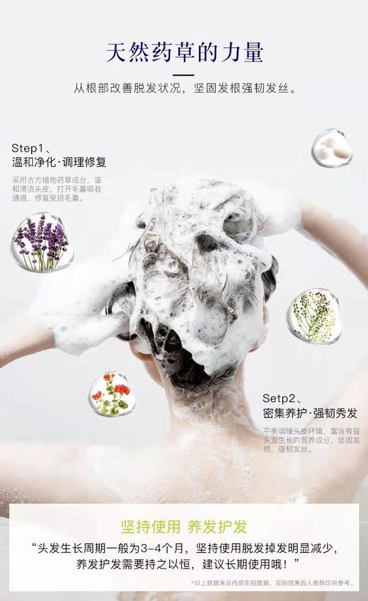 【中欧班列精选】日本进口卡蓓诺育发护发素男女（基础型） 350ML/瓶 hm 商品图4