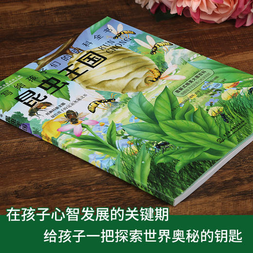 (仓发) 昆虫王国（写给孩子们的百科全书） 中小学课外大百科，少儿科普，高清全彩，手绘+实拍，全细节/中国水利水电出版社/贝贝狗童书馆/9787517064435 商品图1