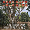 2022年春茶老班章古树醇料生茶饼357g/饼 商品缩略图3