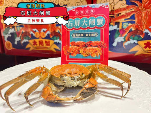 赤瑞明珠～石屏状元蟹大闸蟹（天赐好水，云南好蟹）专供云南包邮 商品图2