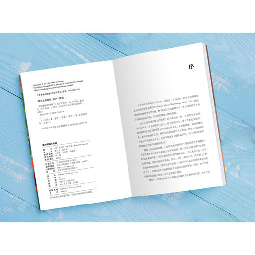 碳如何玩转地球：从万物起源到现代文明 商品图1