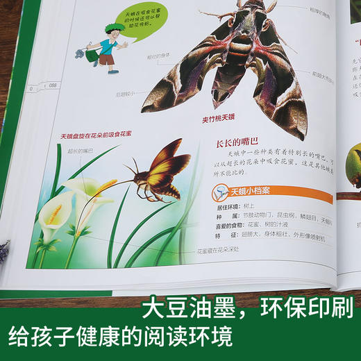 (仓发) 昆虫王国（写给孩子们的百科全书） 中小学课外大百科，少儿科普，高清全彩，手绘+实拍，全细节/中国水利水电出版社/贝贝狗童书馆/9787517064435 商品图3