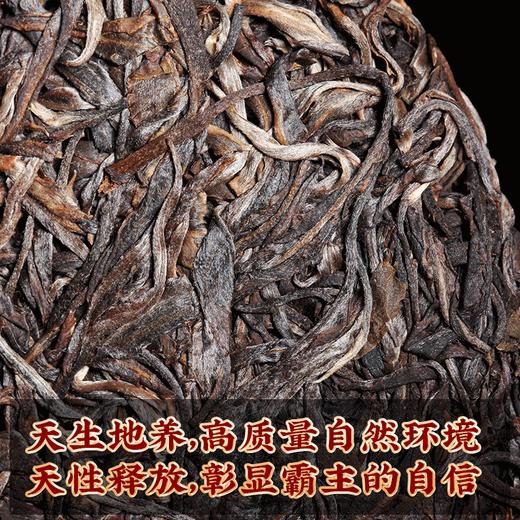 2022年春茶老班章古树醇料生茶饼357g/饼 商品图4