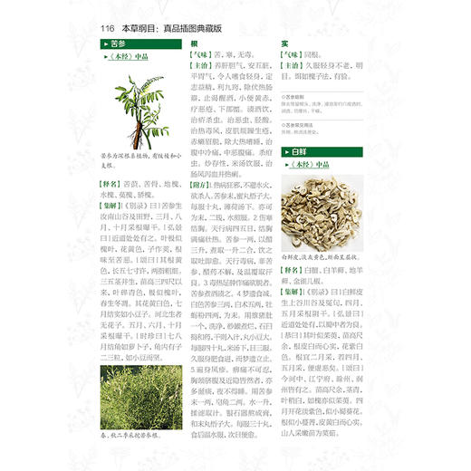 (仓发) 本草纲目：真品插图典藏版/健康爱家系列/江苏凤凰科学技术出版社/[明]李时珍/9787571307080 商品图2