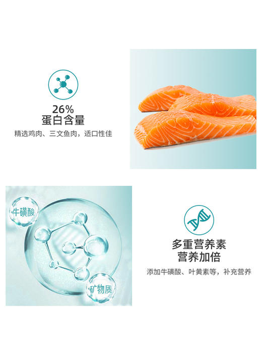 麦富迪猫饼*肉猫磨牙洁齿改善口臭牙结石成幼猫咪小零食50g 商品图4