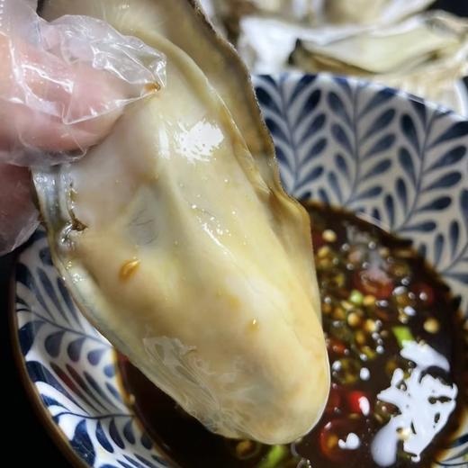 山东乳山生蚝，个体大、肥度高、肉质好、味鲜美  保鲜保活～ 商品图3
