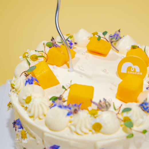 圆舞曲 · 动物奶油蛋糕 商品图1