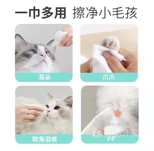 天真贝比便携装12片宠物湿巾猫咪狗狗清洁身体眼部耳朵卫生护理纸巾 12片 商品图3