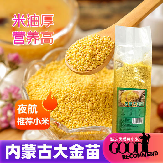内蒙古 大金苗小米 0.9kg/袋*3袋 商品图0
