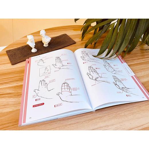 神志那弘志的手部结构与绘画技法教学 商品图4
