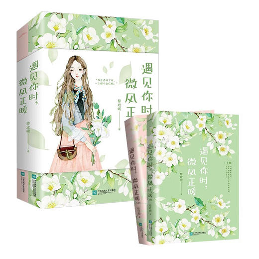 遇见你时 微风正暖 黎珍妮 著 青春文学 商品图3